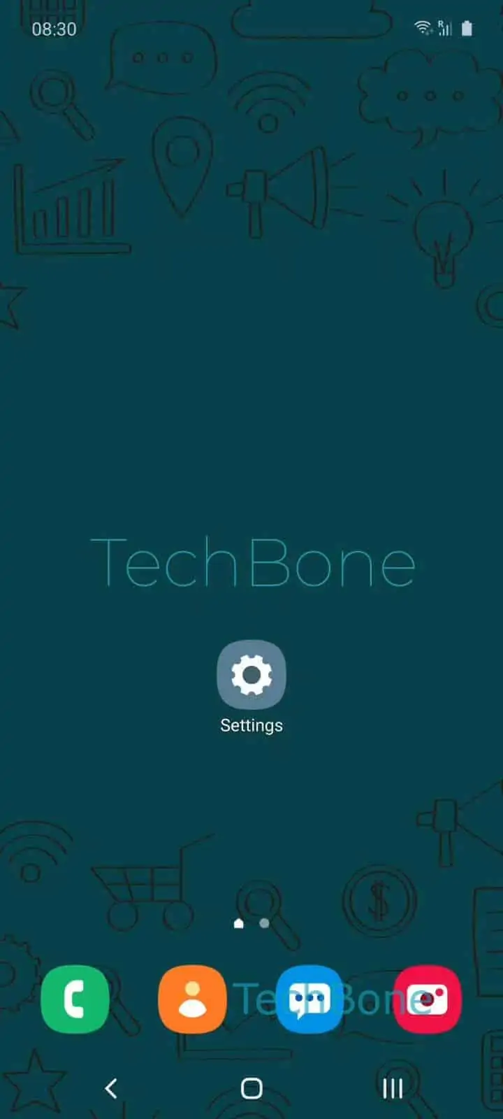 Enable or Disable Quick Launch Camera – One UI 2: step 1 – Open the Settings